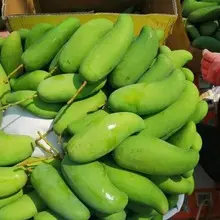 东方市芒果