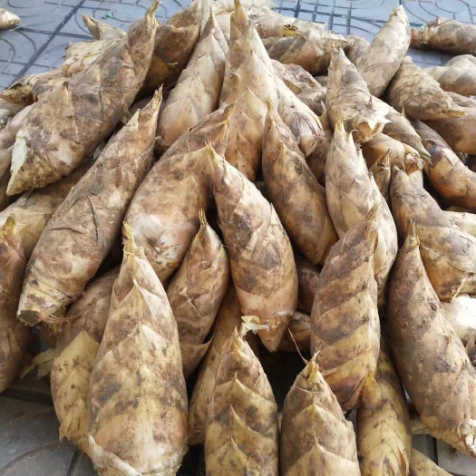 如皋市新鲜出炉