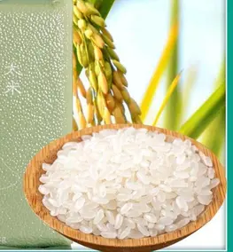 南梗46精品新米