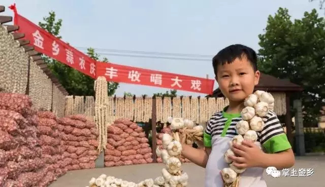 金乡县 金乡库内混级大蒜