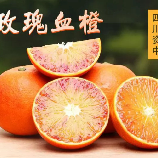 资中县塔罗科血橙 60 - 65mm 4-8两 