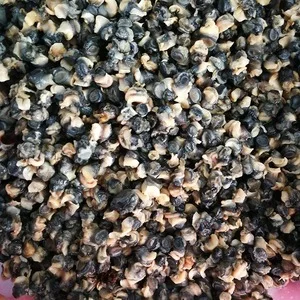 田螺肉 你的信任 我的实在包你满意 满意还来油