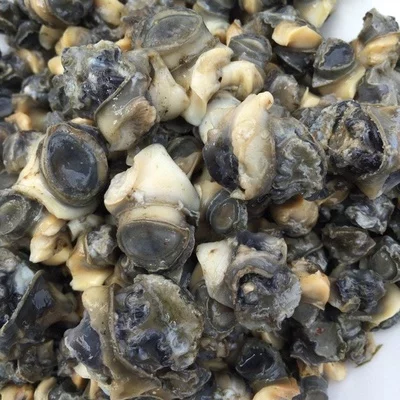 田螺肉 你的信任 我的实在包你满意 满意还来油