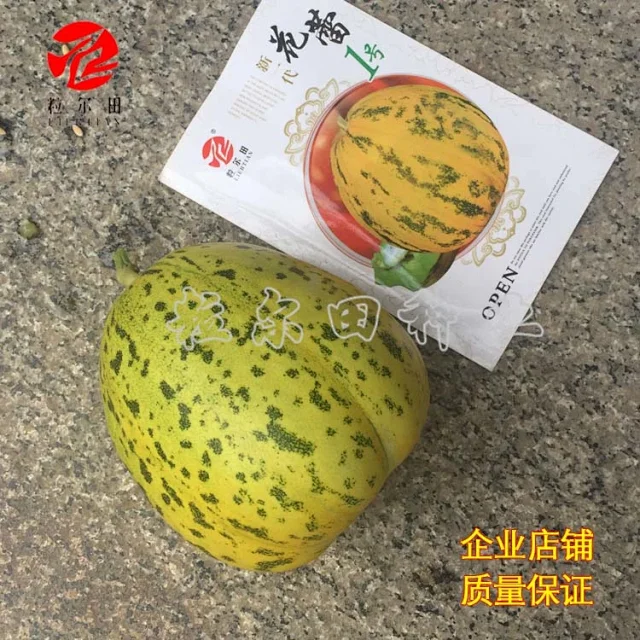 八里香热销花皮点脆肉甜瓜种子