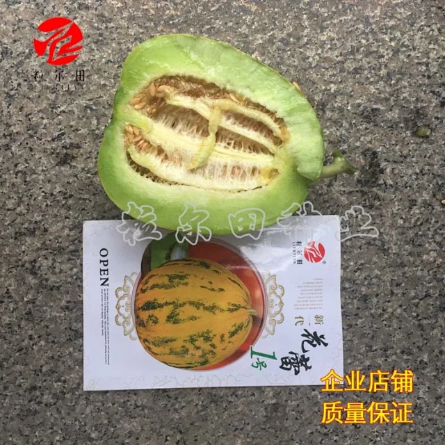 八里香热销花皮点脆肉甜瓜种子