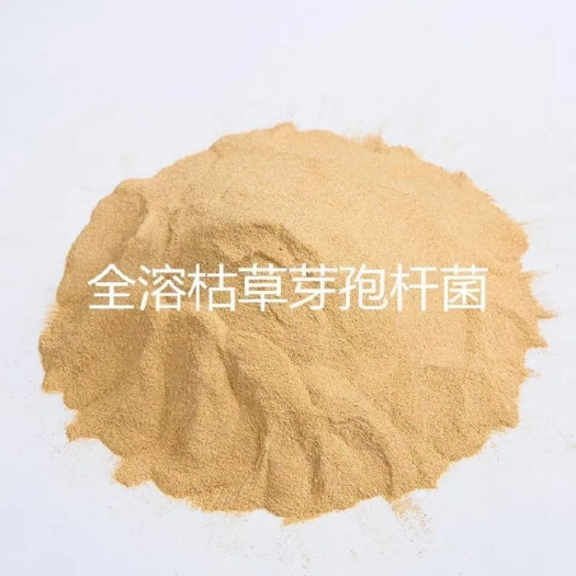 邯郸枯草芽孢杆菌微生物菌剂根腐病立枯病土传病害生根壮苗