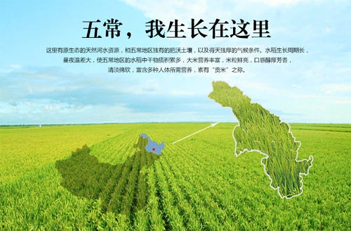 五常稻花香大米农户自产自销的 从农田直接到您家餐桌