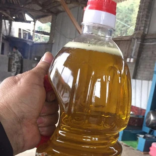 樟树市 山茶油