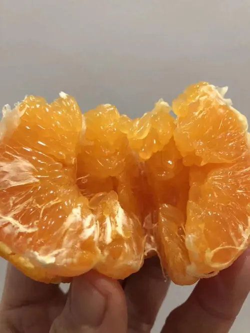 春見耙耙柑