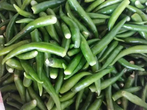 青色小米辣，艳红产品，