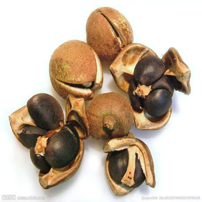 山茶油 茶籽油