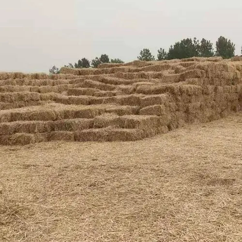 寿县 小麦秸秆方捆