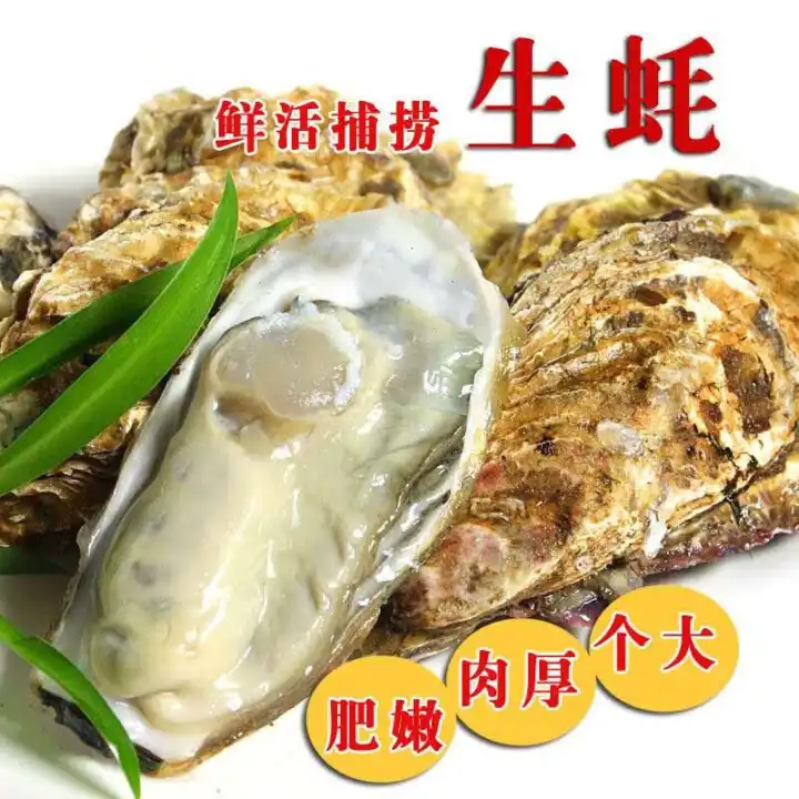三倍体生蚝 乳山市生蚝 净化刺身蚝 场地直销 支持在线交易