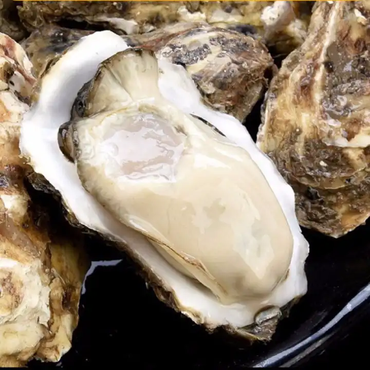 三倍体生蚝 乳山市生蚝 净化刺身蚝 场地直销 支持在线交易