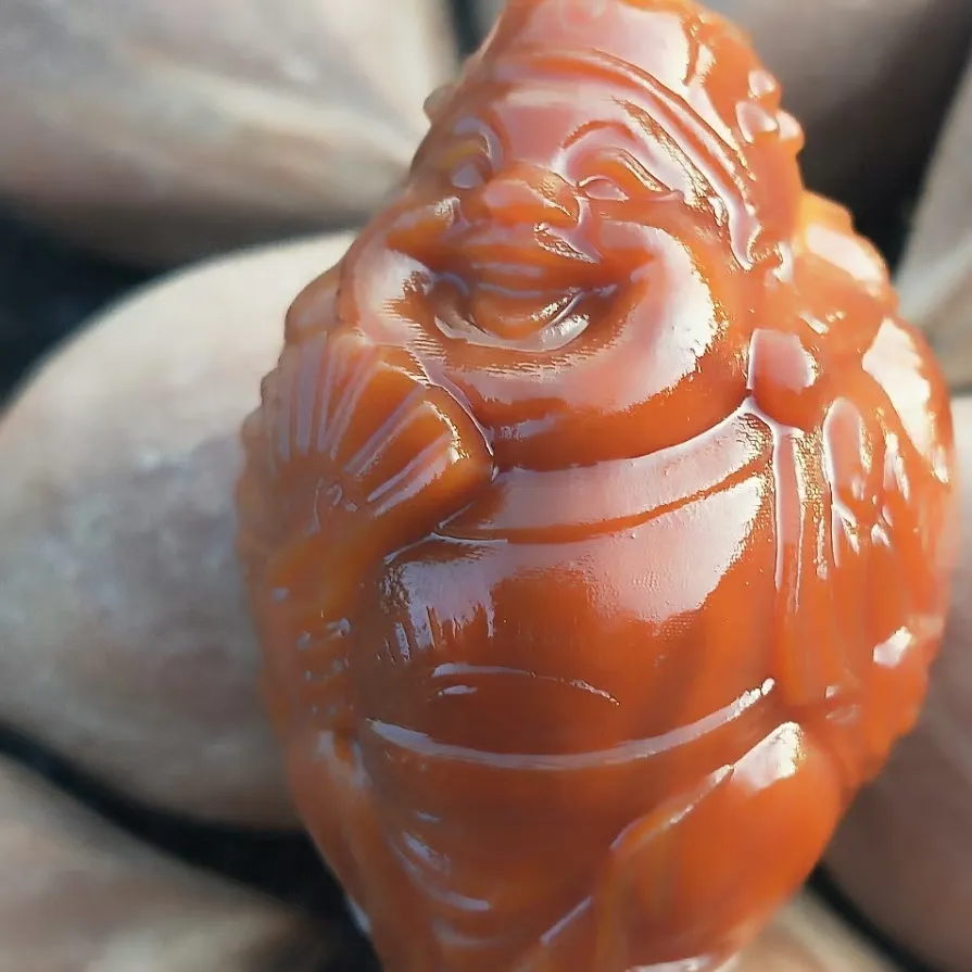 黑橄榄苗 工艺榄苗