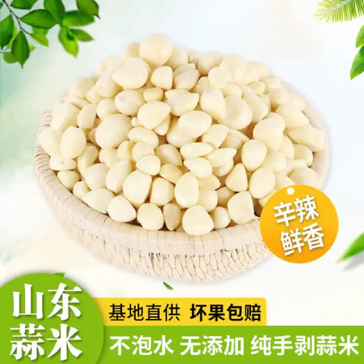 金乡县蒜米