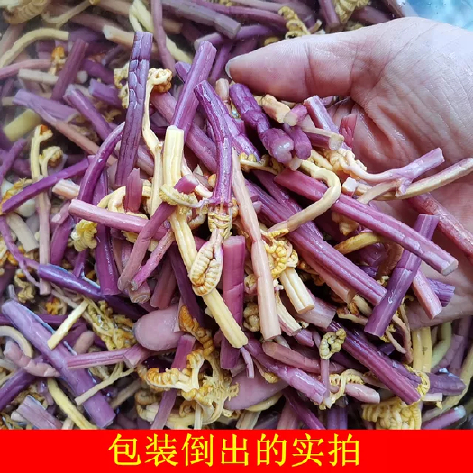 独山县蕨菜 贵州省黔南布依族苗族自治州独山县 鲜货