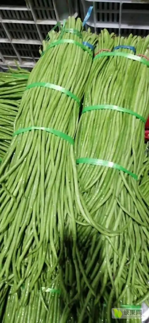 景洪市架豆王豆角 长豆角