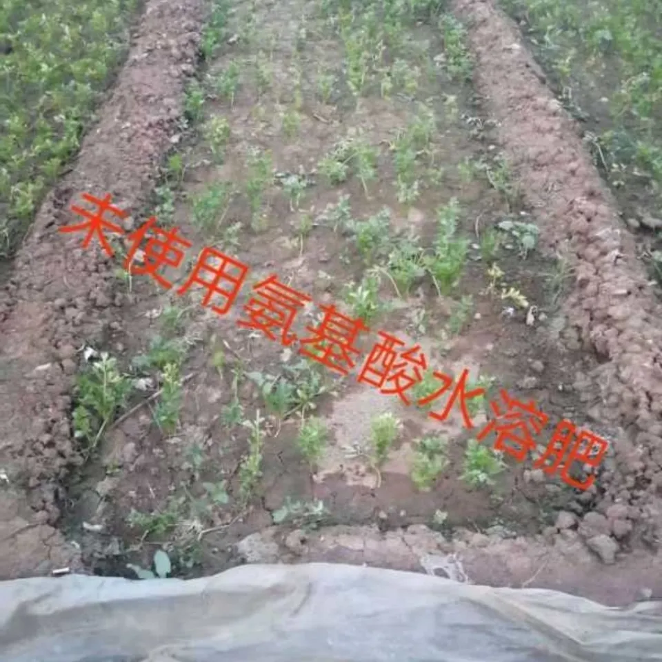 氨基酸水溶肥  有机水溶肥 氨基酸肥料 厂家直销 液态肥 液