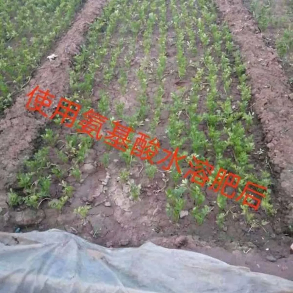 氨基酸水溶肥  有机水溶肥 氨基酸肥料 厂家直销 液态肥 液