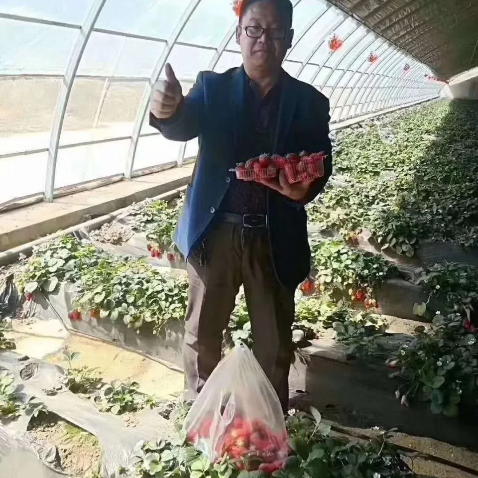 氨基酸水溶肥  有机水溶肥 氨基酸肥料 厂家直销 液态肥 液