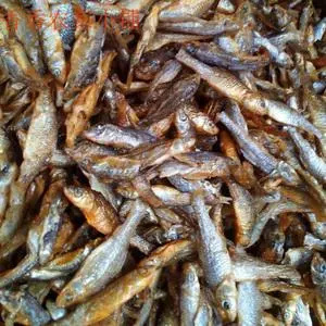 赣州1.正品乡下小鱼干，健康海味道，美味健康鱼健康领鲜，鱼味无苦
