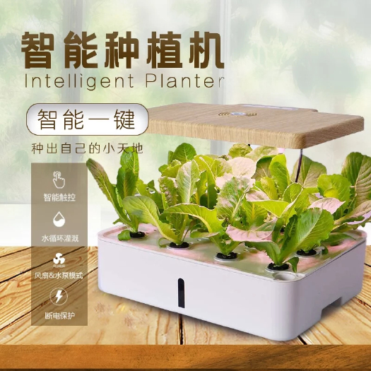 厦门种植箱/育苗箱