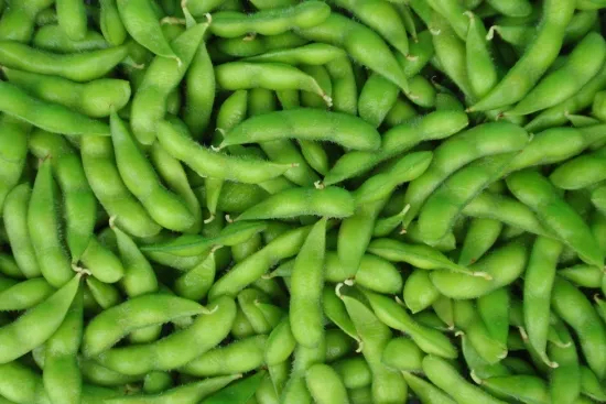 涟源市新鲜毛豆带壳