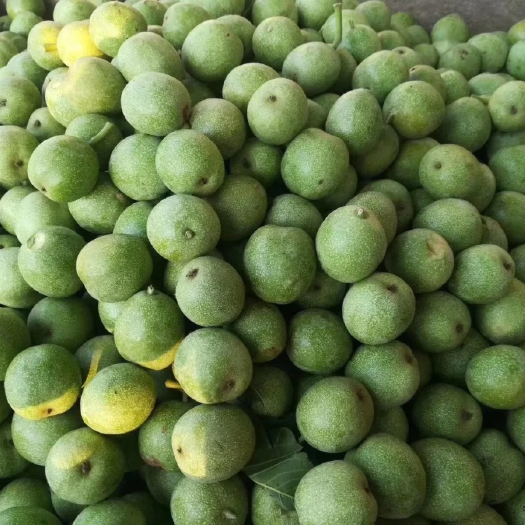 长治核桃