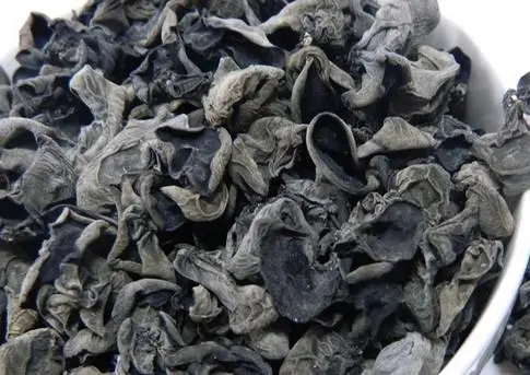 汪清县自家种植木耳