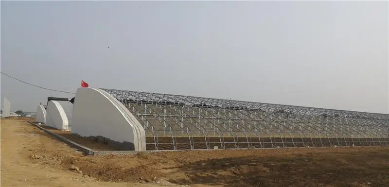 天津各种大棚建造设计