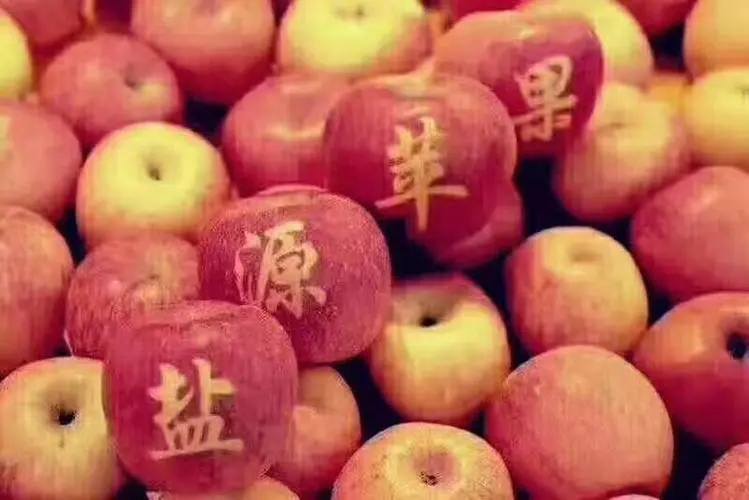 盐源县2023年盐源早熟苹果尾期糖心率高华硕