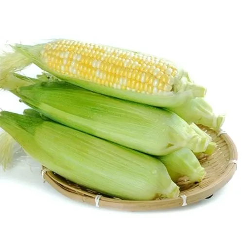 鲜玉米