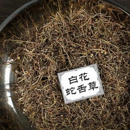 揭阳白花舌钱草