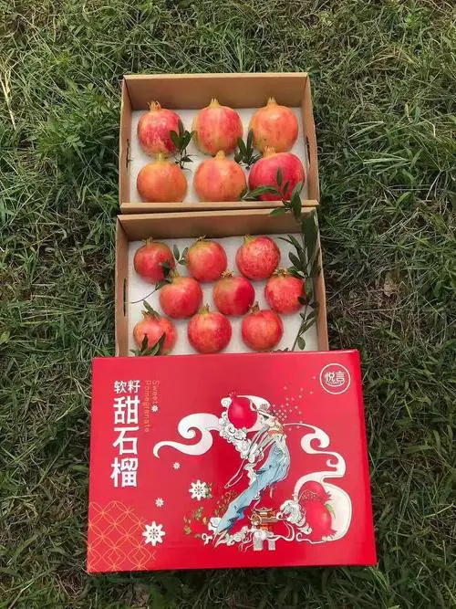 会理市突尼斯软籽石榴，