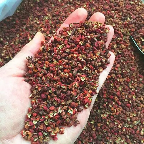 当年花椒