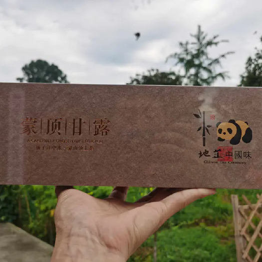青岛蒙顶甘露~高山绿茶纯手工•125g