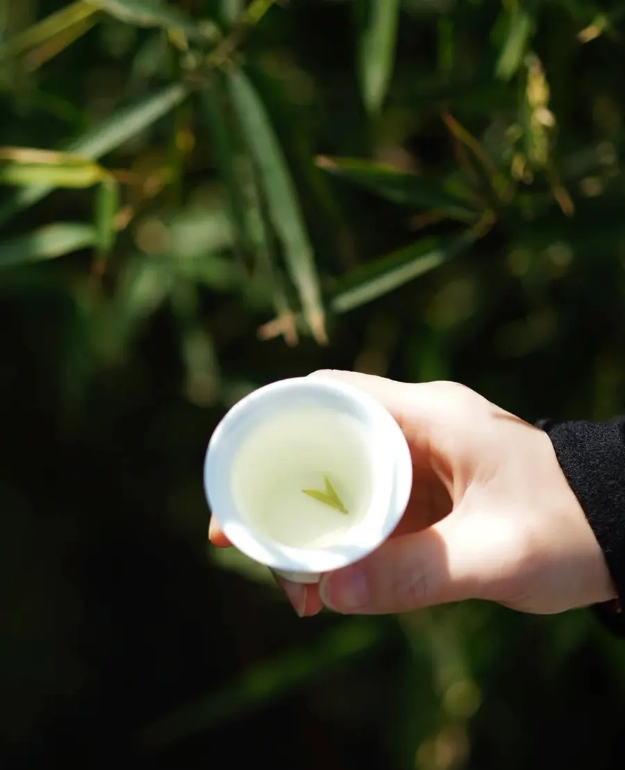 蒙顶甘露~高山绿茶•150g