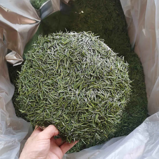 青岛雀舌飘雪~绿茶• 100g