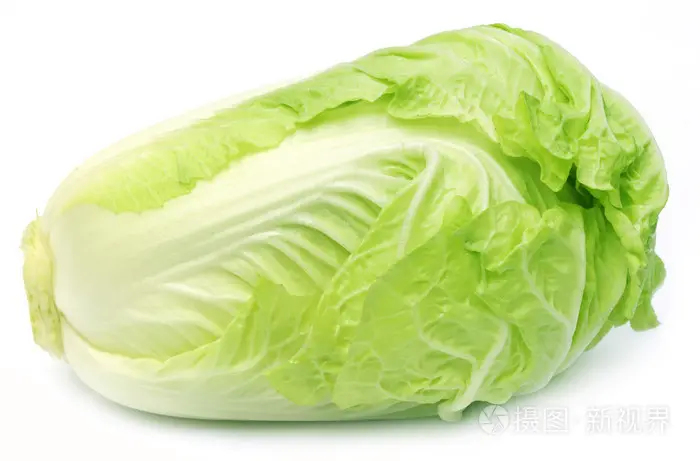 贵阳白菜