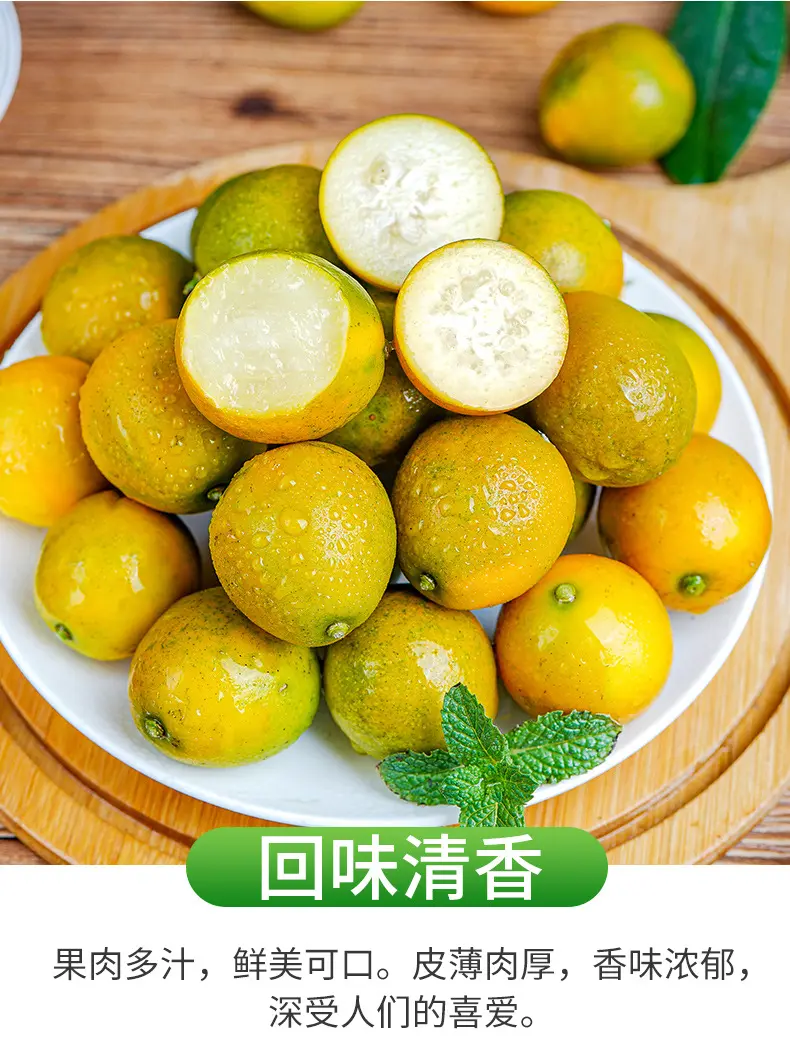 广西融安脆皮金桔脆皮金桔一件代发