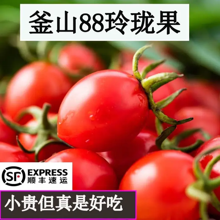 千玺贝贝88大量有货价格便宜