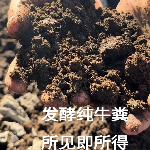 若尔盖县牛粪