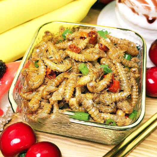 阳春市虫蛹