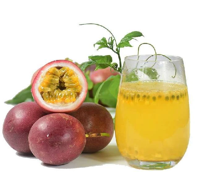 紫香一号百香果苗