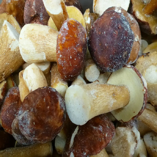 易门县速冻牛肝菌