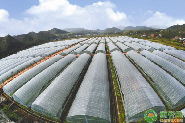 北方暖棚建造工藝要點(diǎn)及注意事項(xiàng)