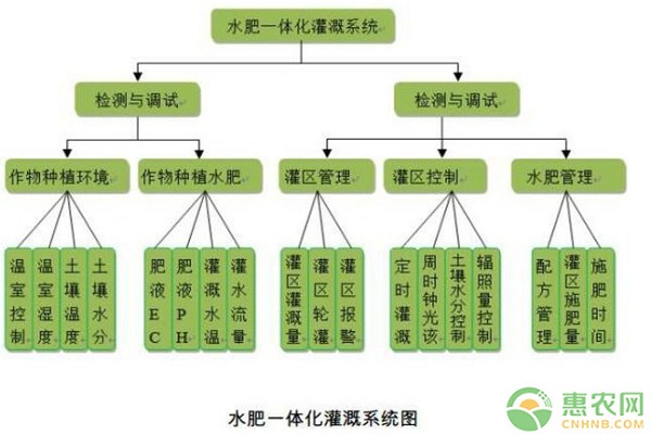 水溶肥使用技巧和注意事項(xiàng)
