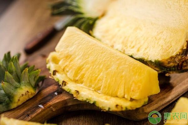 菠蘿高產(chǎn)種植技術(shù)管理要點(diǎn)