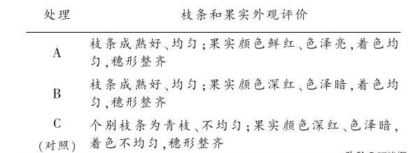 石河子市克瑞森無核葡萄架勢改造技術(shù)